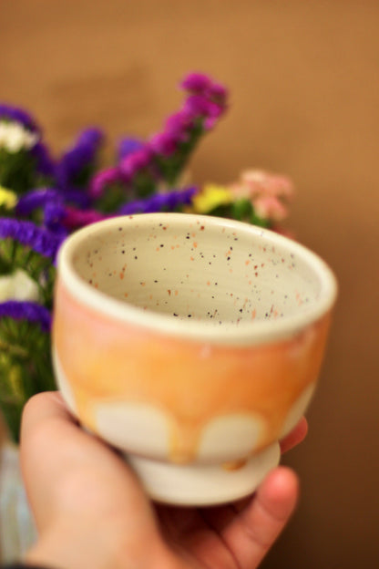 Ice cream cup Peach